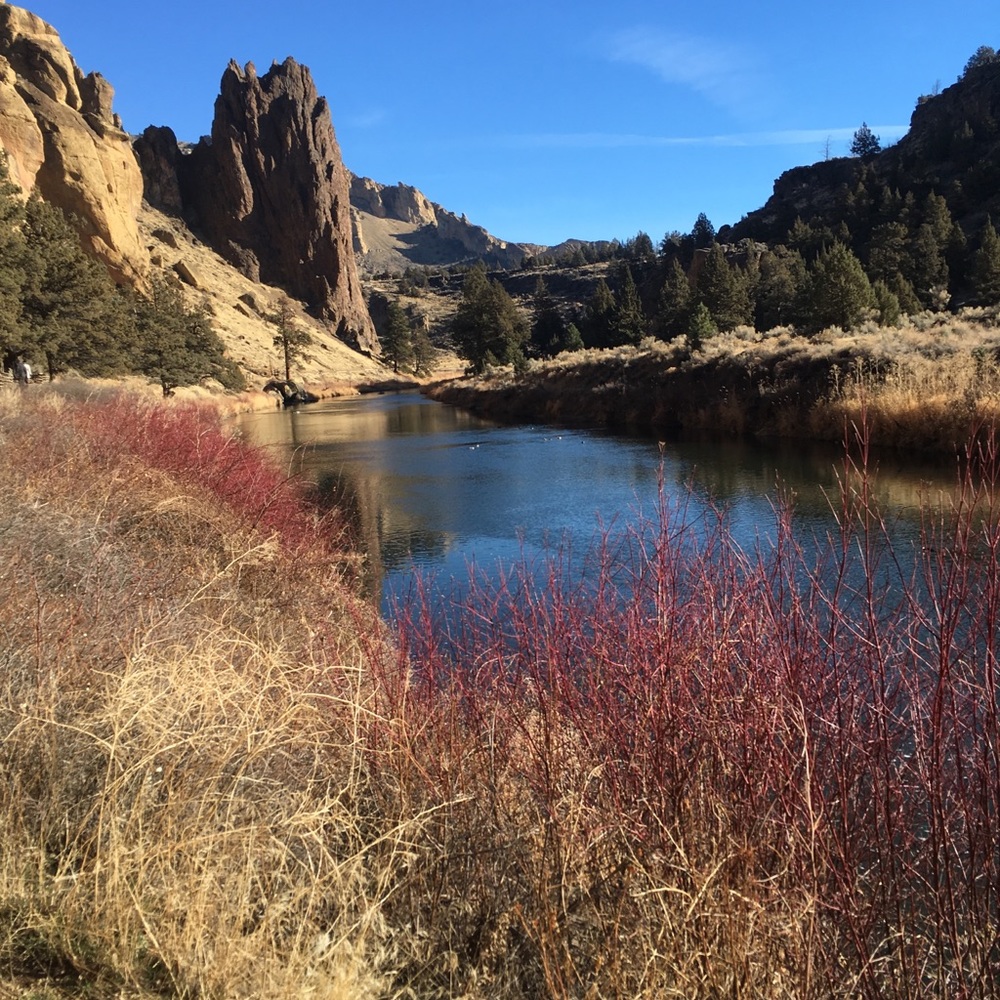 Meet your Posher, Ona